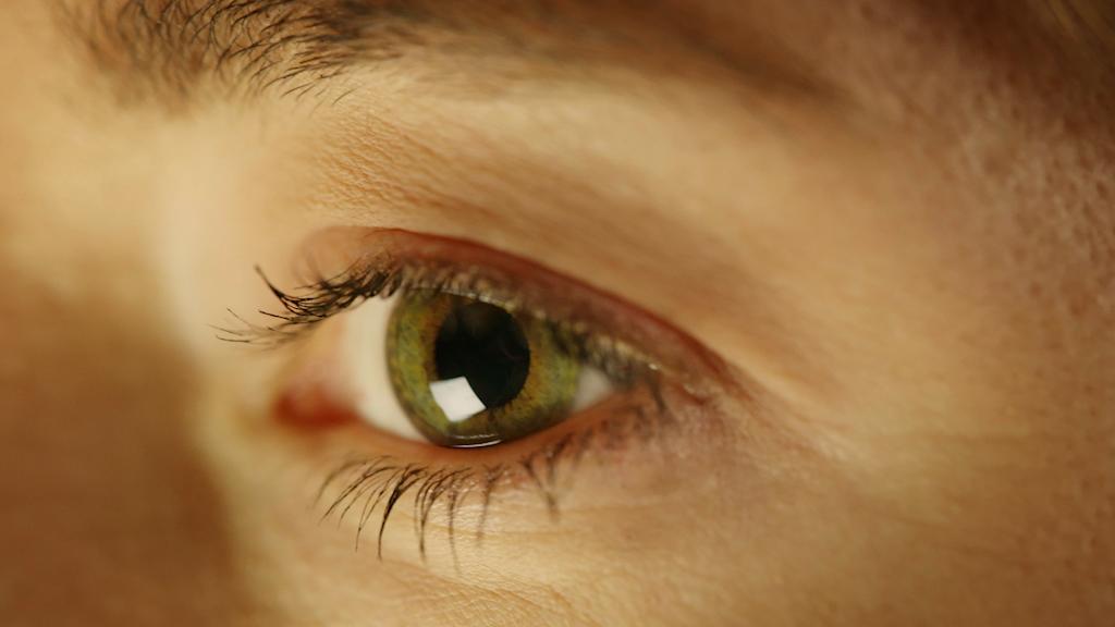 Democracia en acción: Conferencia sobre el Futuro de Europa (Vídeo) |  Sugerencias