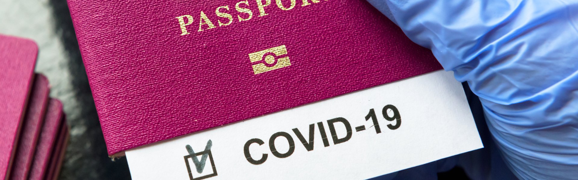 Certificado COVID de la UE: el comité respalda la extensión de un año para garantizar la libertad de movimiento |  noticias