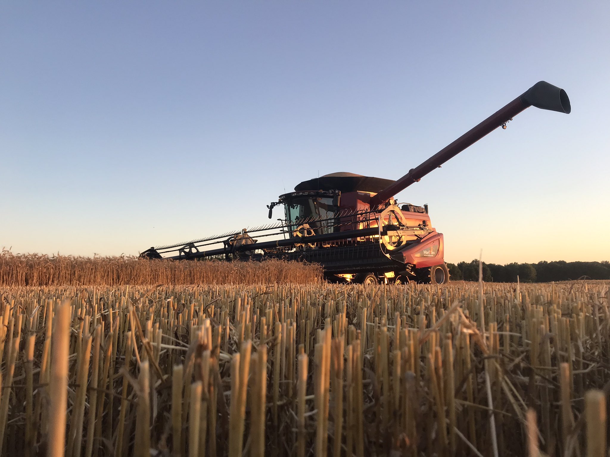 Dos hombres del oeste de Kentucky se declaran culpables de haber robado $350,000