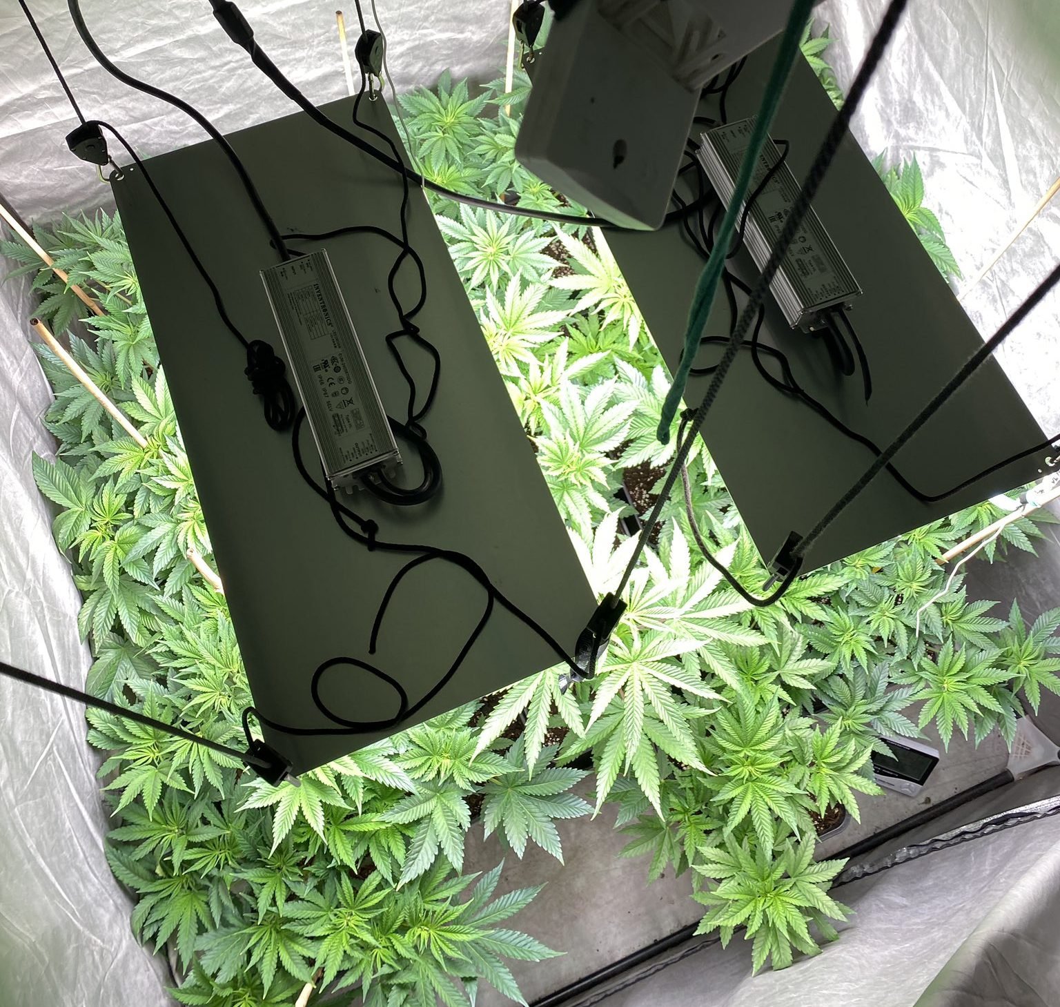 Preso federal acusado de posesión de marihuana |  USAO-MDPA