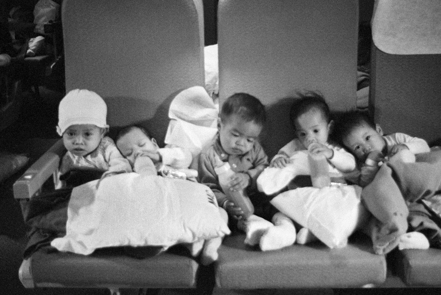La Operación Babylift: la historia de una evacuación polémica