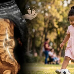 Instituto mexicano seguro social